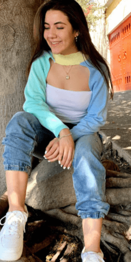 Manguitas 3 colores 4