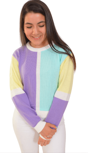 Sueter bloques 4 colores - Imagen 1