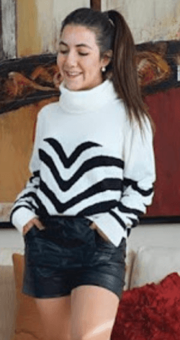 Sueter zebra cuello alto