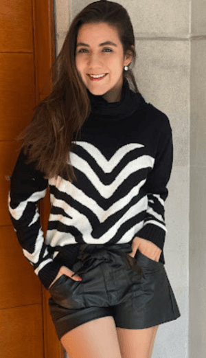 Sueter zebra cuello alto 2