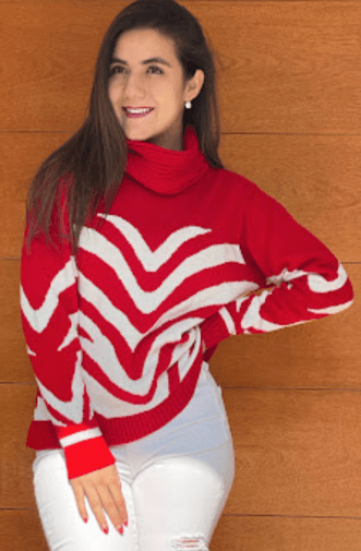 Sueter zebra cuello alto 3